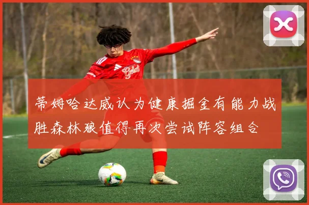 蒂姆哈达威认为健康掘金有能力战胜森林狼值得再次尝试阵容组合